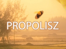 Propolisz